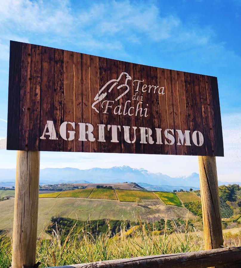 Agriturismo Terra Dei Falchi Castilenti 외부 사진