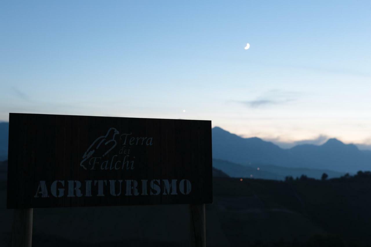 Agriturismo Terra Dei Falchi Castilenti 외부 사진