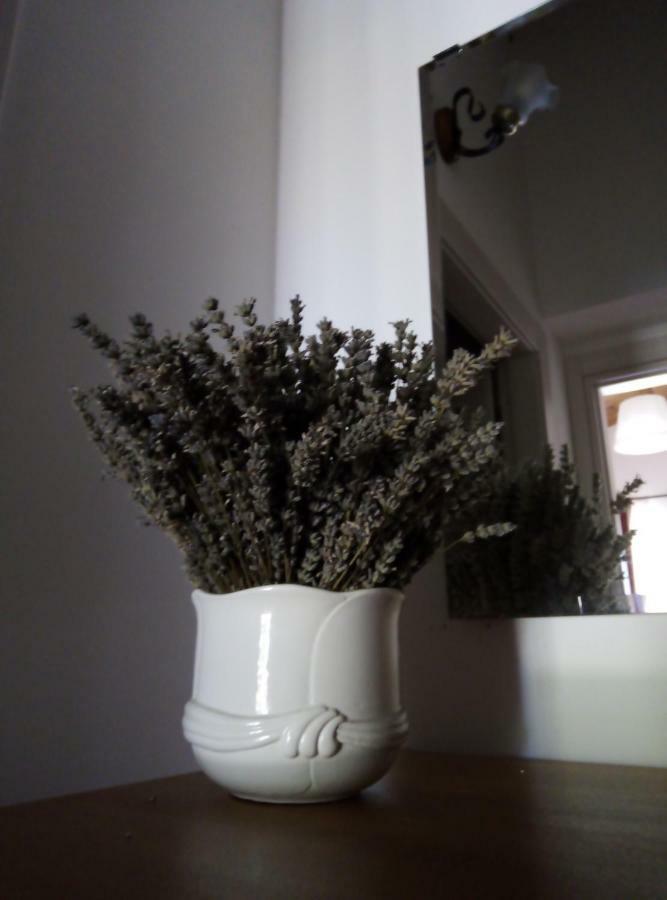 Agriturismo Terra Dei Falchi Castilenti 외부 사진